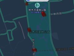 -桤木河湿地公园