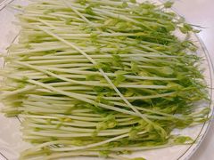 -美姿水荟美食水疗