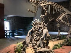 -自贡恐龙博物馆