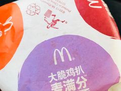-麦当劳(红旗路店)