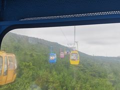 -摩天岭风景区