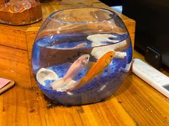 -参差咖啡(水果湖公园店)