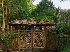 -静安公园(静安寺街道)