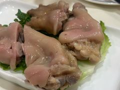 -丁老爷子苏香圆