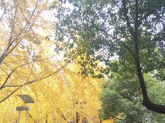 -桂林两江四湖景区