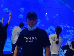 -烟台海昌鲸鲨海洋公园