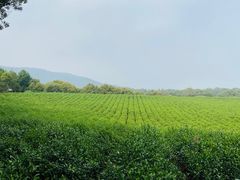 -敬亭山风景名胜区