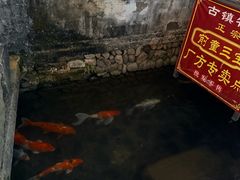 -前童古镇