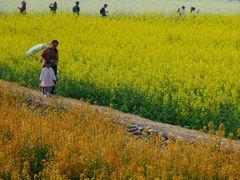 -中国天府农业博览园