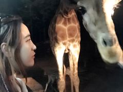 -清迈夜间动物园