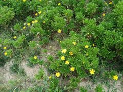 -汉长安城未央宫国家考古遗址公园