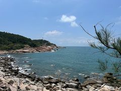 -广东惠东海龟国家级自然保护区