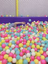 -蹦贝运动中心·蹦床·攀岩·闯关(龙岗店)