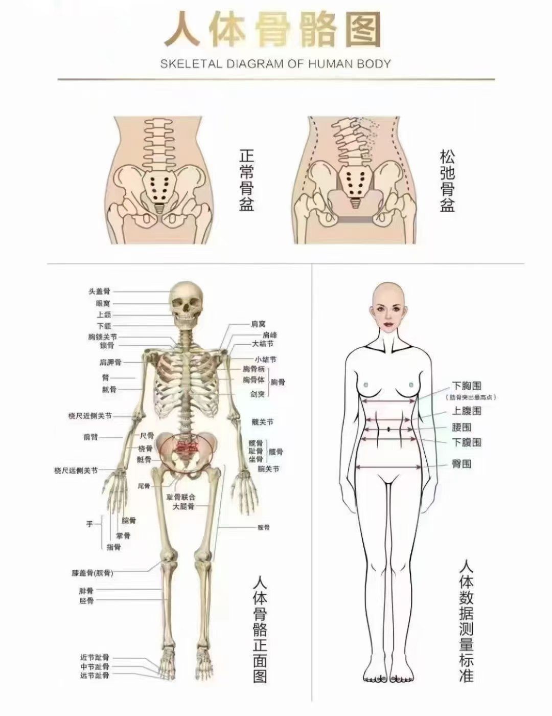 🌹今天听一位宝妈说她在一个产康中心做了
