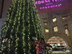 -合肥皇冠假日酒店·菲亚斯特自助餐厅(黄山路店)