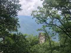 -陕西省红河谷森林公园
