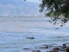 -西昌邛海湿地