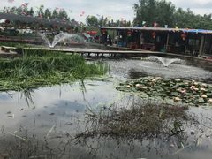 -同銮特种养殖场·龙虾垂钓