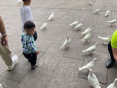 -南昌动物园