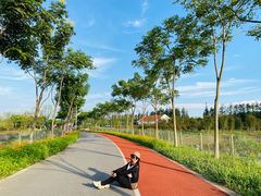 -上海长兴岛郊野公园