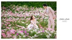 点击看大图 -金夫人婚纱摄影(华南店)