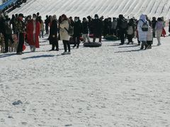 -绿野森林乐园冰雪季