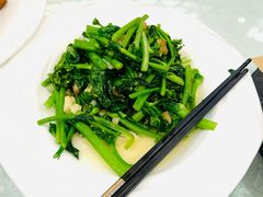 塔塔菜心钵-大益膳房(华腾科技大厦店)