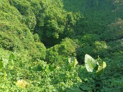 -海口火山口国家地质公园