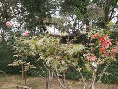 android_upload_pic-楚秀园