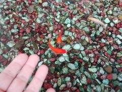 -水晶之星洗浴温泉汗蒸