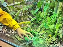 -帕帕拉兹宠物(亚洲旗舰店)