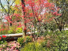 -上海安亭别墅花园酒店