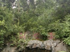 -灵栖洞天