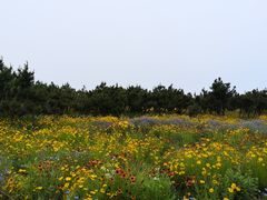 -青岛银沙滩