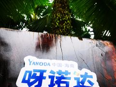 -呀诺达热带雨林