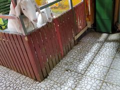 -上海大自然野生昆虫馆(东方明珠·爬宠昆虫探索中心)