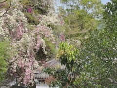 -深圳国际园林花卉博览园