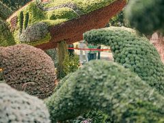 -杭州植物园