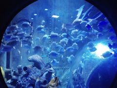 -成都浩海立方海洋公园