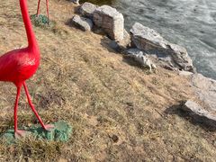 -大兴滨河森林公园