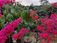 -水濂山森林公园