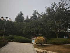 -铁山坪森林公园