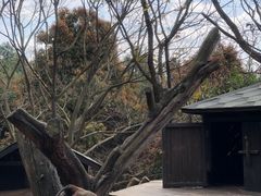-云南野生动物园