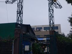 -曲阳花鸟市场(曲阳路店)