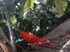 -水库活鱼馆(于桥水库店)