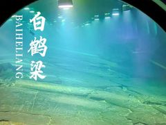 -白鹤梁水下博物馆