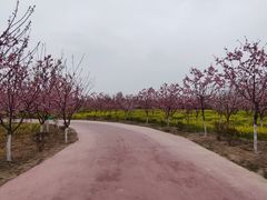 -古柏渡飞黄旅游区