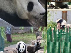 -沈阳森林动物园