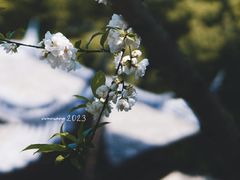 -乌山风景区