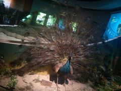 -陕西自然博物馆